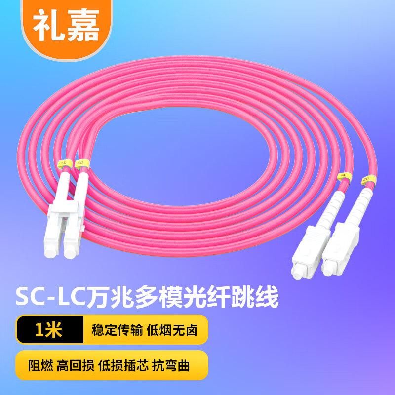 

LIJIA OM4 SC-LC 10 Gigabit Multimode Fiber Optic Patch Cord 1m