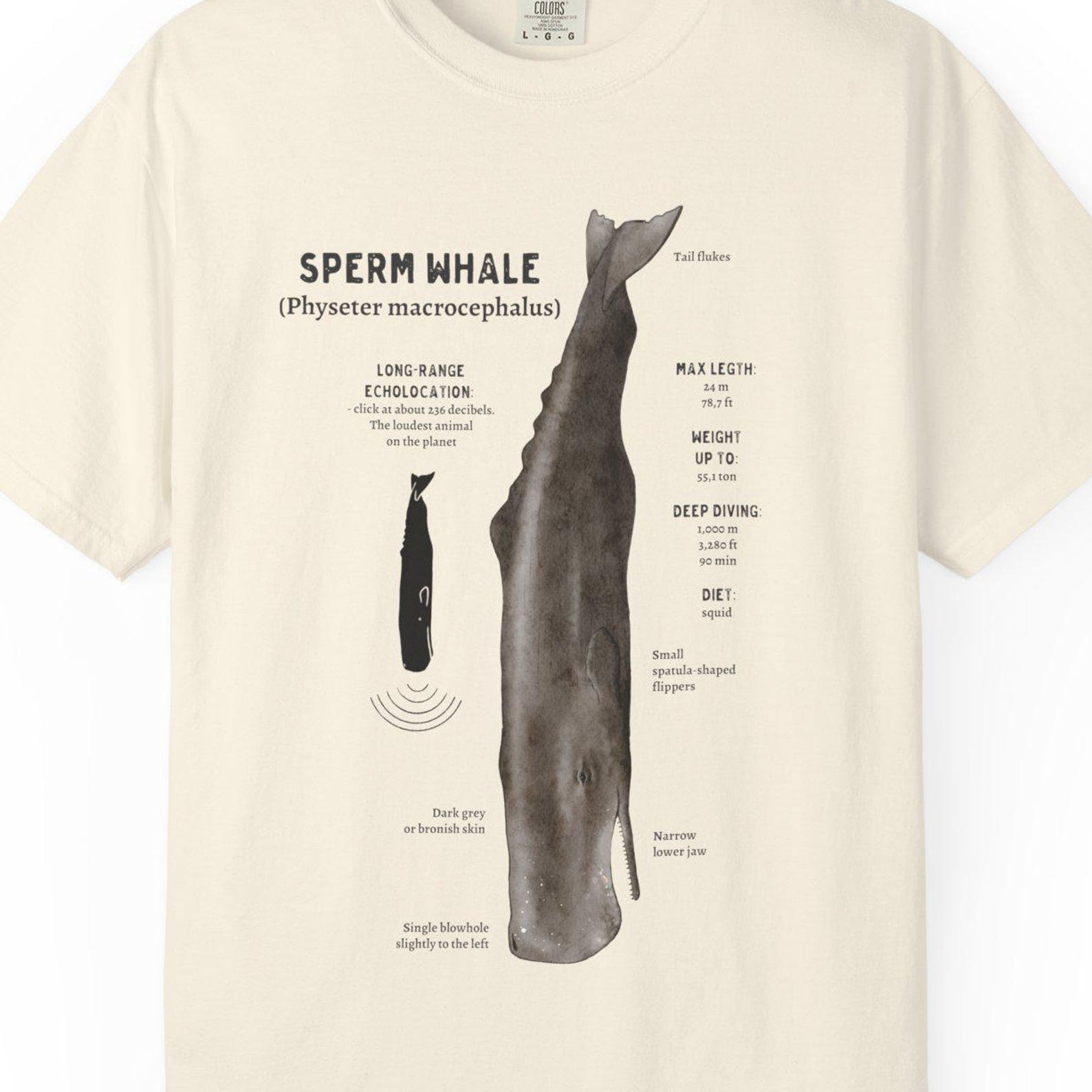 Comfort Colors Sperm Whale Anatomy T-Shirt, Marine Biology Tee 2XL