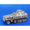Military Vehicle - SD.KFZ 250-9 - Scale Model - Plastic - Gray