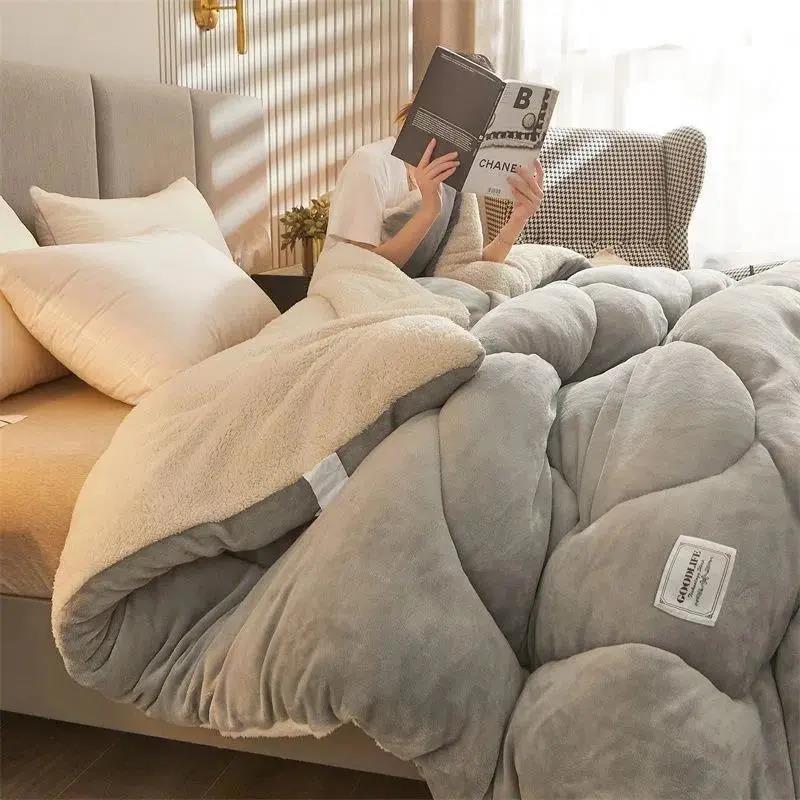 Winter Thickened Lamb Wool Quilt Double-Sided Fleece Warm Quilt Student Dormitory Single Double Bed Household Bedding