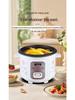 Compact Electric Rice Cooker, 5L Non-Stick, Serves 1-4, Classic Design for Small Households