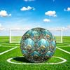 1pc Oceanic Serenity Theme Soccer Ball Football, Size 5, Lightweight PVC, Durable Outdoor Training Soccer Ball, Gift M61412