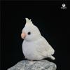 H125Mm Cute Parrot Toy White-Headed Parrot Plush Toy Kids Girl Birthday Gift