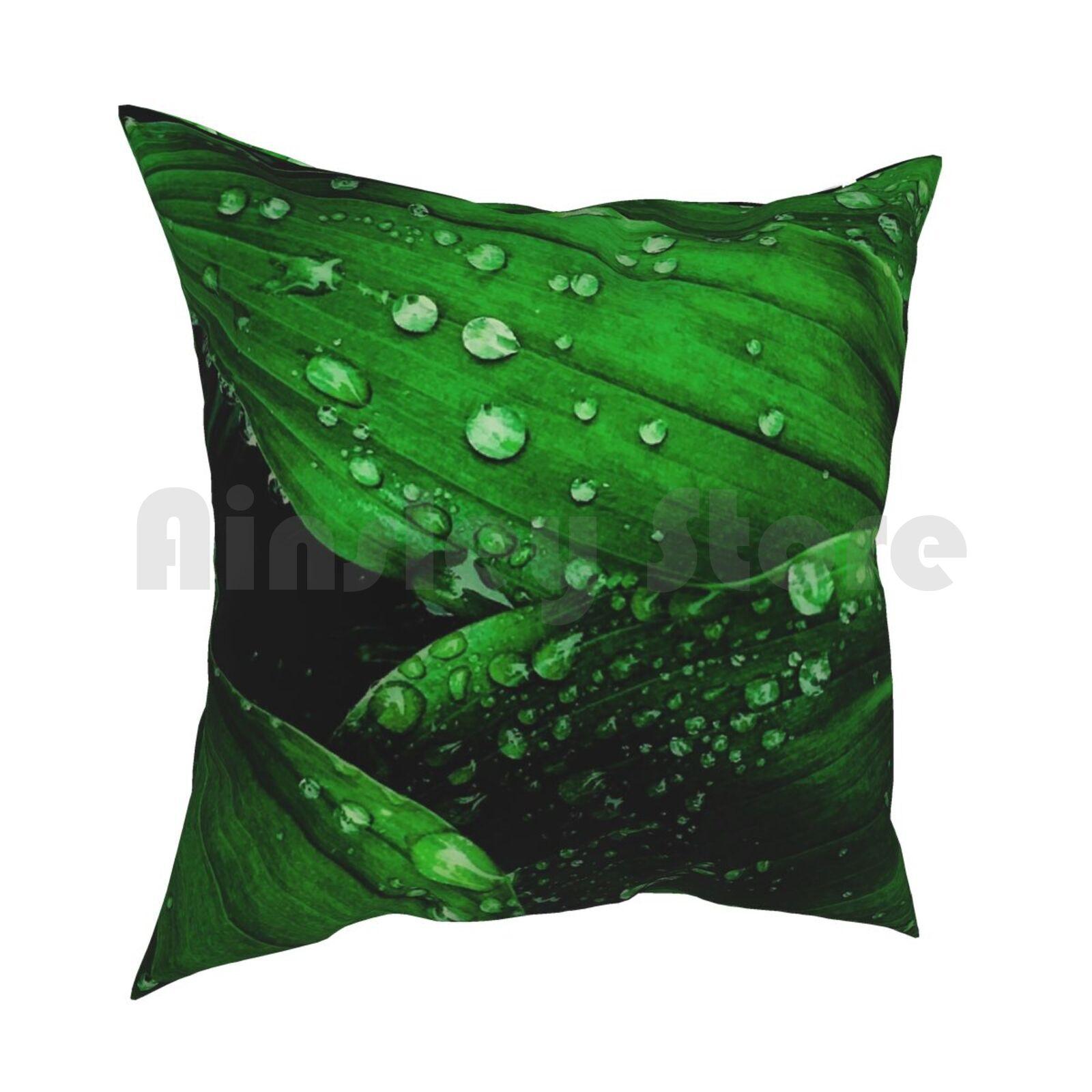 Green Leaves Pillow Case Printed Home Soft Throw Pillow Green Green Leaves Leaves Leaf Rain Raindrop Rain Drops In 30cmx30cm