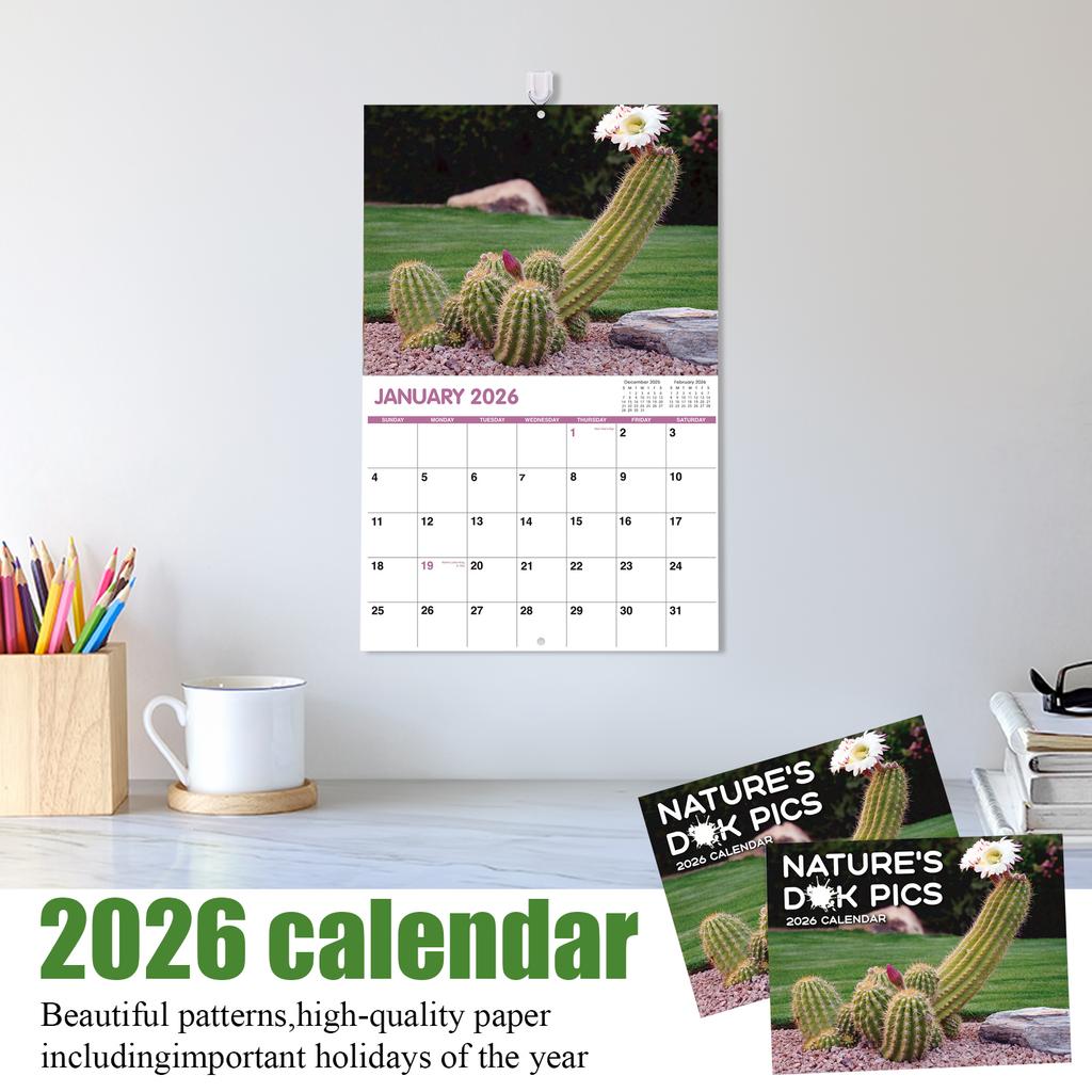 Calendar, Travel Calendar, Monthly Calendar, Travel Wall Calendar, Illustrated Twelve-month Calendar, Travel Gift, Wall Decoration