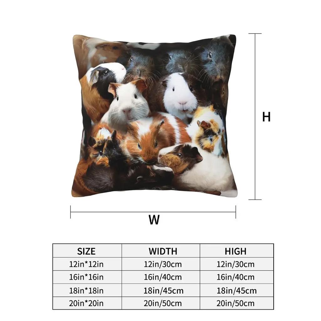 Guinea Pigs 2 Pcs Square Pillowcase Pillow Cover Cushion Zip Decorative Comfort Throw Pillow For Home Bedroom