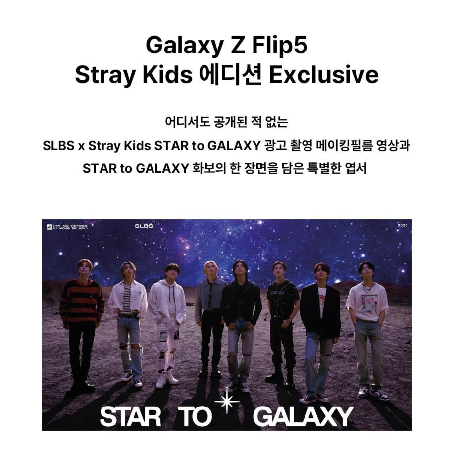 SLBS x SKZ PICK Stray Kids Accessories Edition for Galaxy Z Flip5