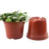 A84E-200Pcs 8.5CM Round Plastic Plant Pots Small Flower Pots For Plant Nursery Small Potted Plants
