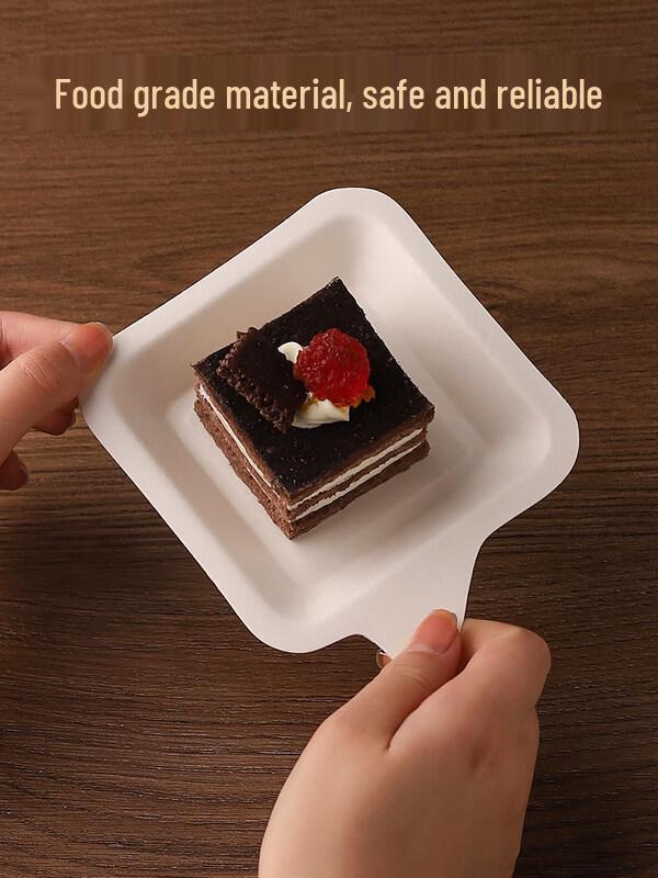 ZISIZ Disposable Rectangular Paper Dessert Plates