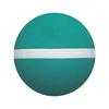 Molten Rubber Dodgeball
