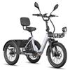 Triciclo Eléctrico de Carga FAFREES F20 Mate II para Personas Mayores, Batería Extraíble de 48V 25Ah, Cestas Delantera y Trasera