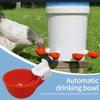 8Pcs Hanging Poultry Drinker Plastic Chicken Water Feeder Practical Bird Water Cups  Bird Coop