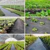 Weed Barrier Fabric With Water Permeable Antiaging Durable For Garden And Orchard Use