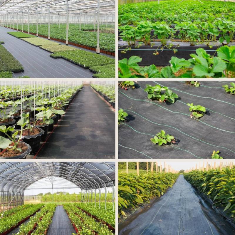 Weed Barrier Fabric With Water Permeable Antiaging Durable For Garden And Orchard Use
