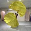 Scalable Rods Belly Dance Accessories Props Multicolor Dance Props New Colorful Scarves Flag