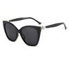 Large Frame Cat Eye Sunglasses Trendy Glasses Street Sunglasses