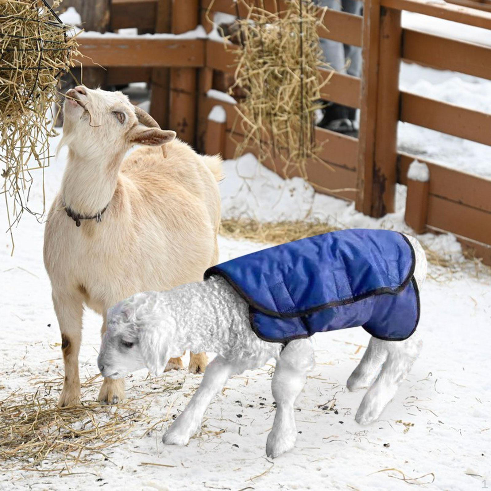 

Попона для теленка регулируемая коровья теплая одежда холодная практичная ветрозащитная принадлежности для скота для живота Small