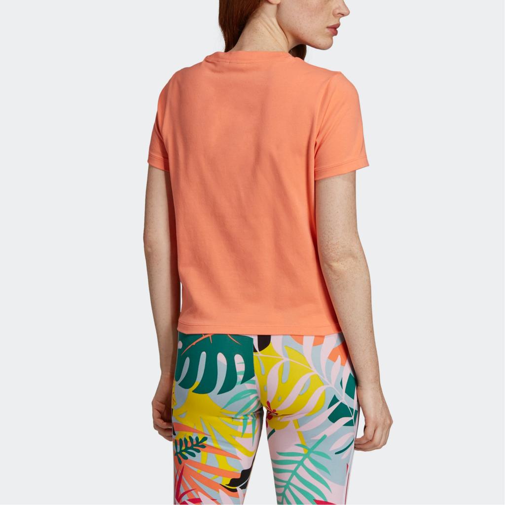 Adidas Originals T Shirt Women's Blessing Pink FH8000