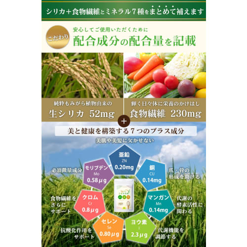 Japanese-Made Rice Silica Plant-Based Silica (Silicon) Supplement, Pesticide-Free, High Concentration 102,000 ppm, Contains Raw Silica, 6900mg Dietary