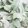 Artificial Plants Flocking Rabbit Ear Grass Wedding Christmas Decorations Vase for Home Scrapbooking DIY Gifts Box Autumn Garden