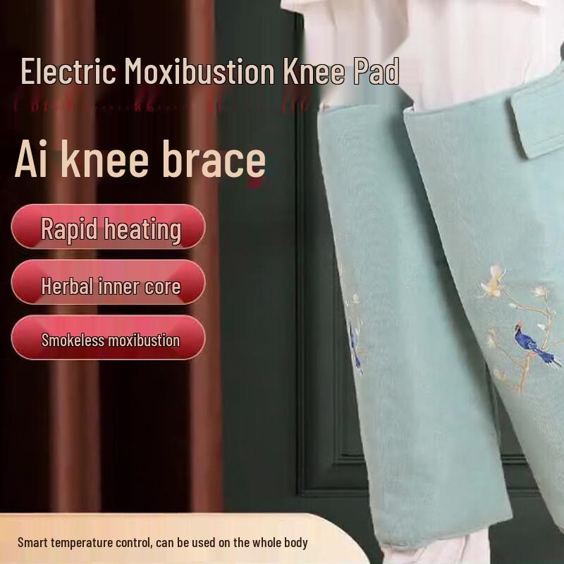 Electric Heated Wormwood Knee Pad