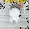 [USED] PLAVE MMMM HAMIN Meowmi Stuffed Toy Keychain