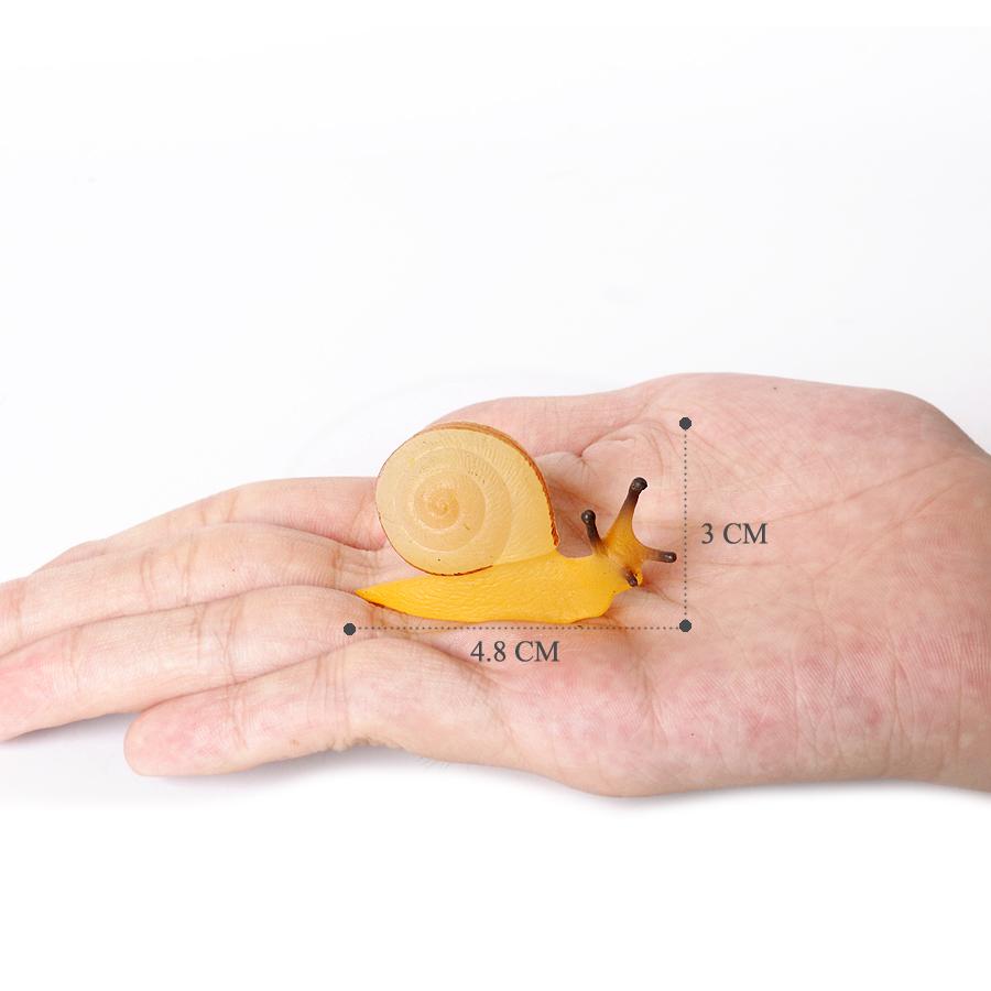 Realistic Life Cycle Of A Snail Model Figure Snail Figurine Party Favors Supplies Cake Toppers Desktop Decoration Collection Toy
