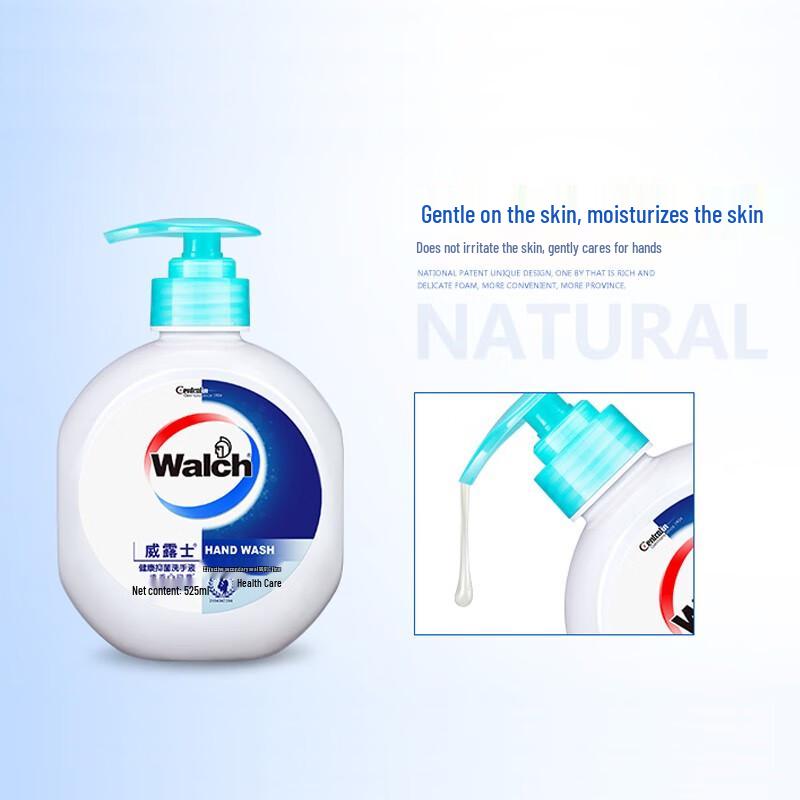 Walch Health Care Foaming Hand Wash