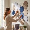 10 Pack Hexagonal Acoustic Panels, High Density Self-Adhesive Wall Panels for Noise Reduction and Decoration