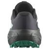 SALOMON Trail Running Sneakers Alphaglide Goretex