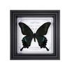 Wall-Mounted Butterfly Specimen Photo Frame: Home Decor & Gift for Valentine's Day, Qixi, Birthday, Couples & Insect Lovers