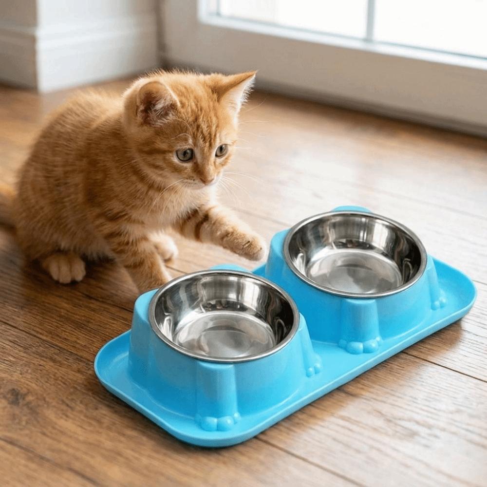 Oblique Mouth Stainless Steel Pet Bowl Anti-Overturning Double Pet Bowl  Puppy Feeding