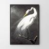 Poster White Bird Alba