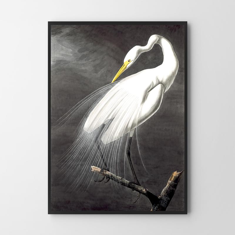Poster White Bird Alba