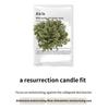ABIB Mild Acidic Ph Sheet Mask 30ml*10EA/Honey/Jericho Rose/Glutathiosome