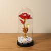 Rose Immortal Flower Glass Cover Valentine's Day Gift Doll Bouquet Mother's Day Birthday Creative Christmas Gifts