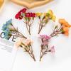 DIY Handmade Headdress Accessories Semi-finished Simulation Bouquet Flowers Shoes Hats Hair Clips Clothing Clothing Accessories Elegance Fake Flowers