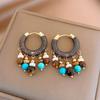 Ethnic style retro stone beaded tiger's eye stone fringed earrings ear buckles personalized earrings women