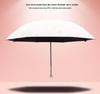 Accesorii – Umbrele