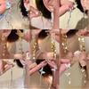 Silver Needle High-end Style Claw Zircon Flowing Tassel Earrings for Women - Light Luxury, Small-Scale, Unique Style Long Earring Set