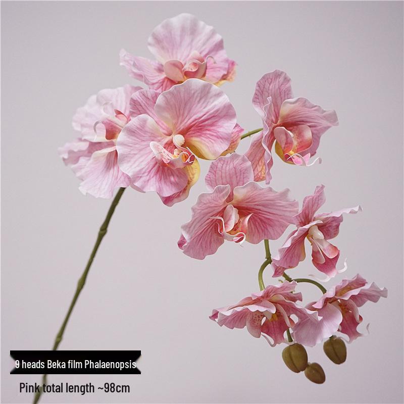High-Quality Phalaenopsis Simulation with 9 Heads - Little Red Book Style Flower Decoration for Photography