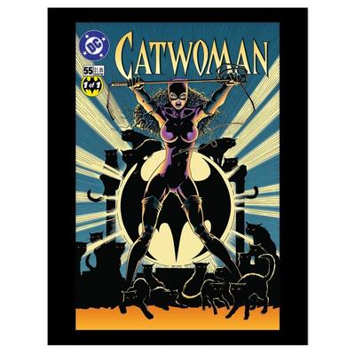 Gerahmtes Poster mit Catwoman-Comic-Cover