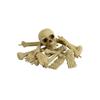 Smiffys Bones & Skull Prop