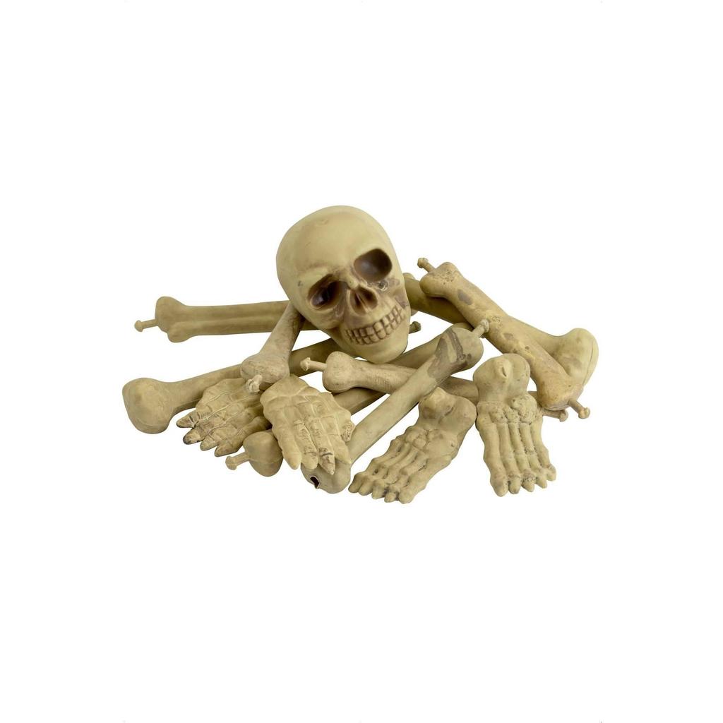 Smiffys Bones & Skull Prop