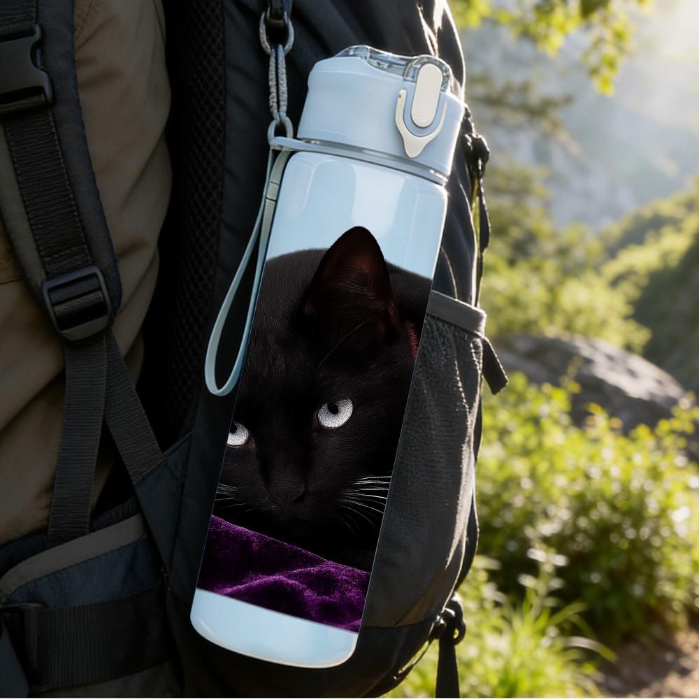 1PC Sleepy Black Cat Resting Portrait Print 750ml Color Plastic Sports Water Bottle Leakproof Flip Straw Lid Suitable for Sports Office Home Use