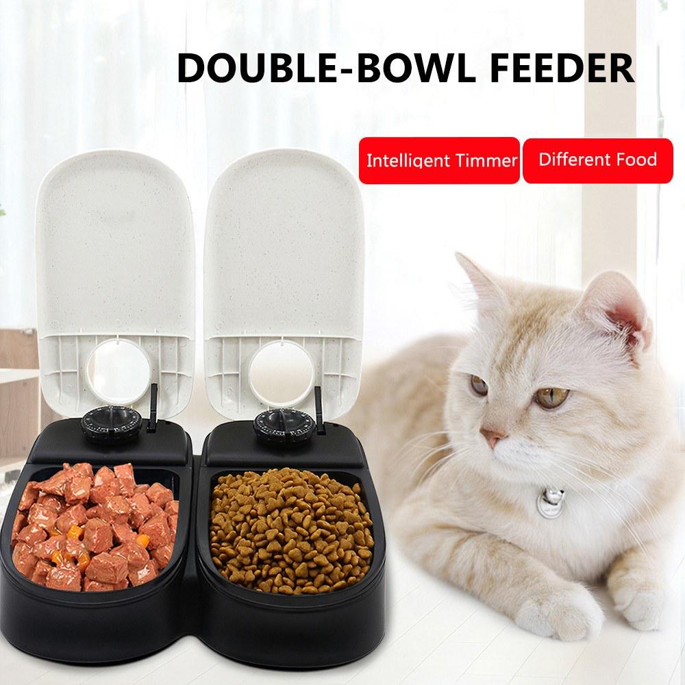 48 hour cat feeder