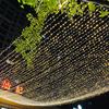 LED Fairy Lights: Seven-Color Changing Starry Sky Decorative Lights for Shopping Malls and Holiday Atmosphere
