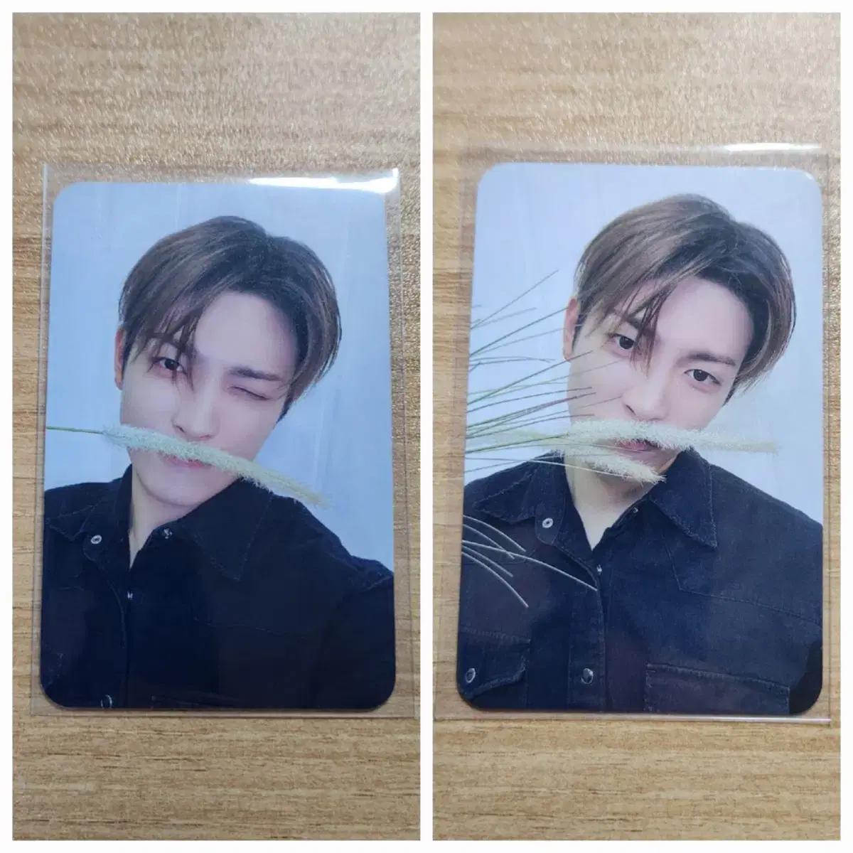 

ATEEZ Хонджун Фотокарточка Щенок Бассейн Ми Гонг Невыпущенная Фотокарточка Дима Му
