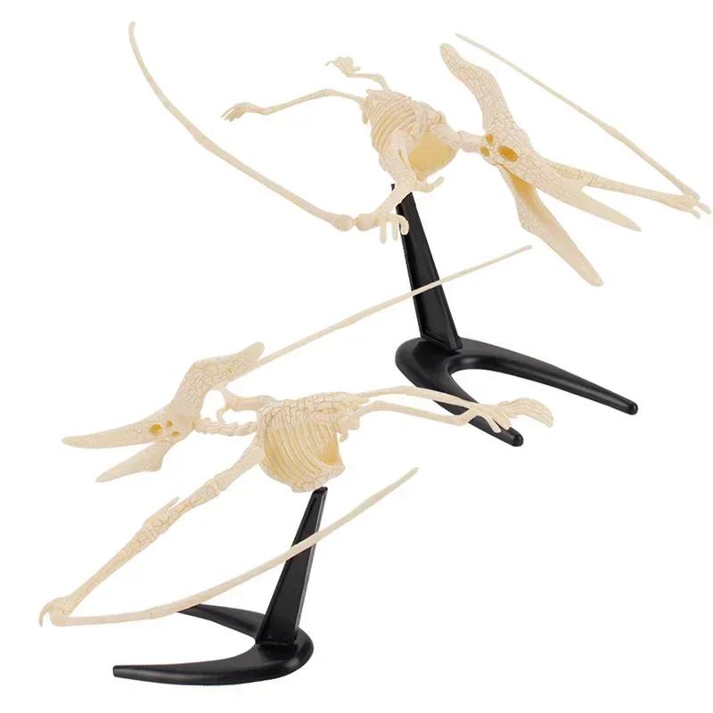 Puzzle Szkielet Dinozaura 3D [Montaż DIY] Realistyczne Kości+Ekologiczne, Nauka STEM/Więź Rodzinna
