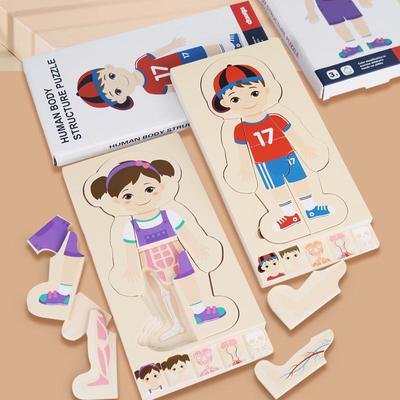 Montessori Holz Körperstruktur Puzzle: Mehrschichtiges flaches Lernspielzeug für das Wachstum und die kognitive Entwicklung von Kindern.